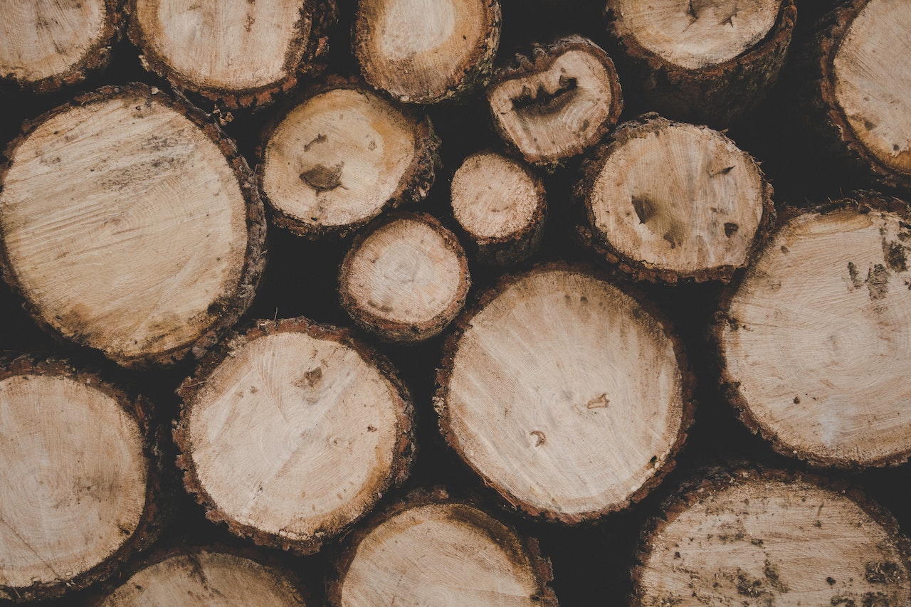 Wie Erle Holz eine außergewöhnliche Wahl als Brennholz sein kann